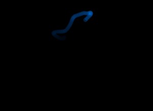 Random Movement